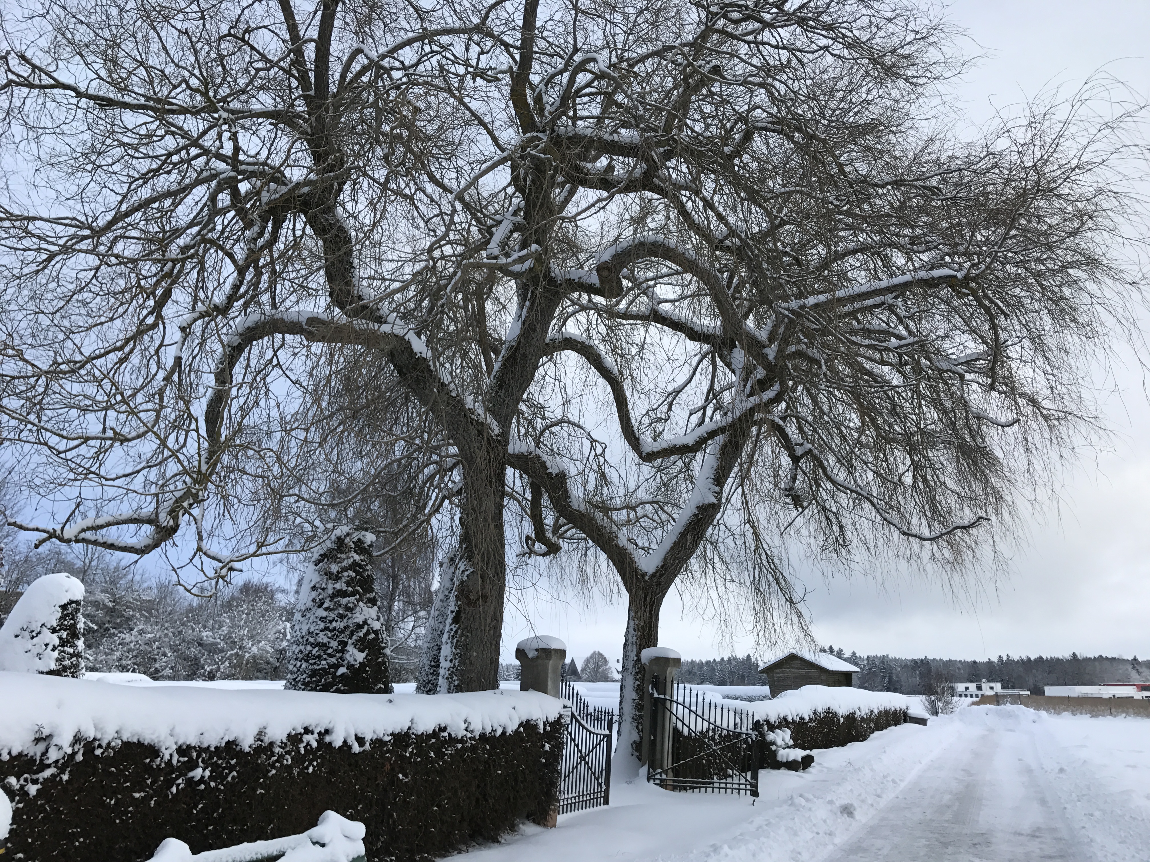 2017-01-16-09-42-06