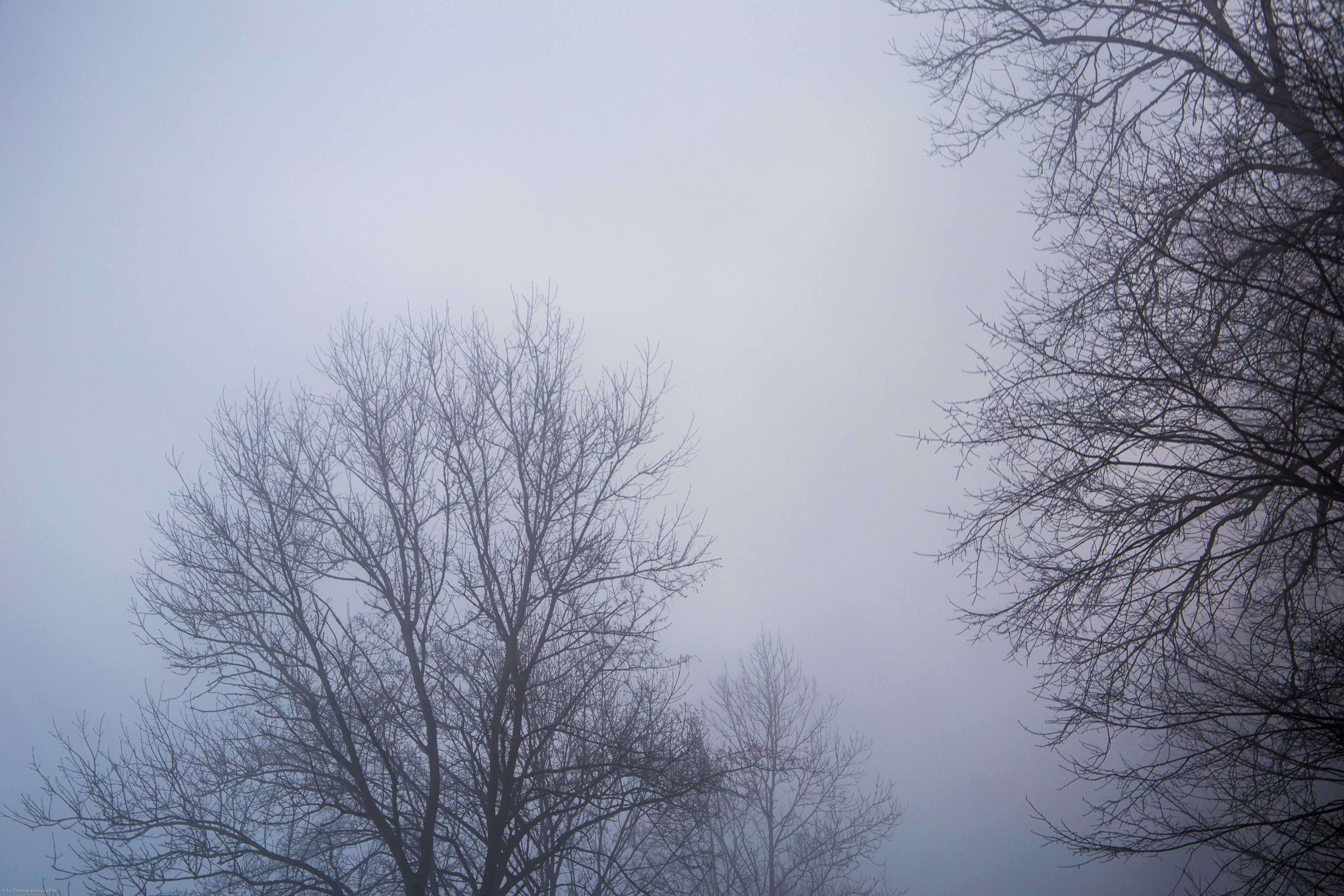 nebel-102