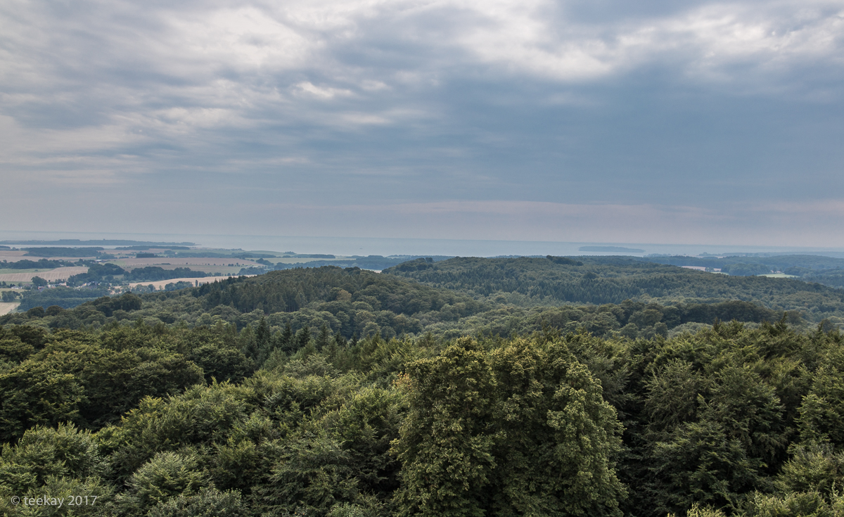 img-2617