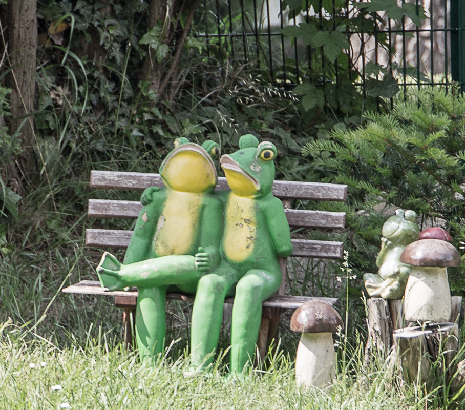 img-1612