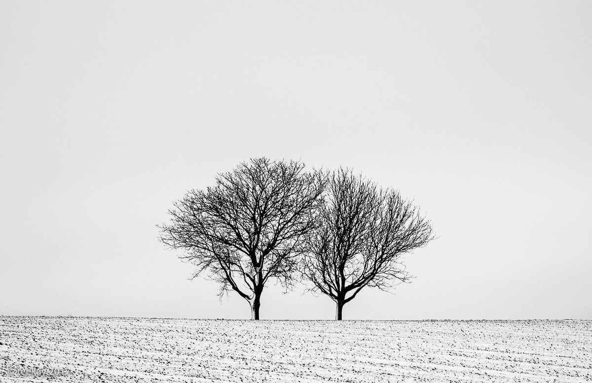 20170104-sw_0317-34