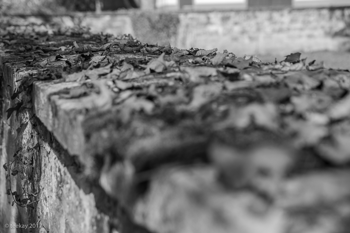2017_10_19_3452-2
