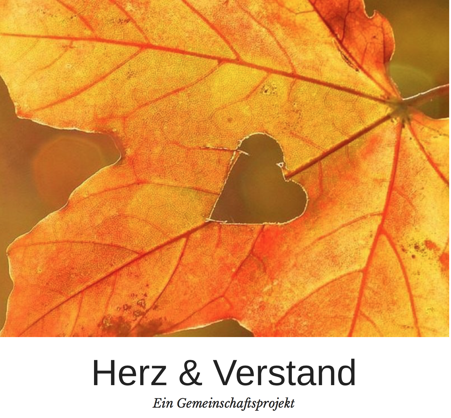 HerzundVerstand