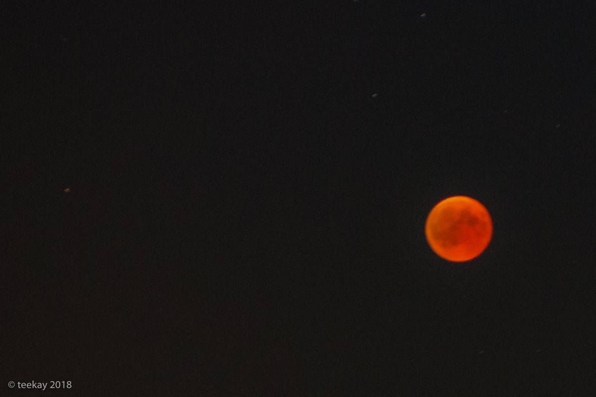 mond-101