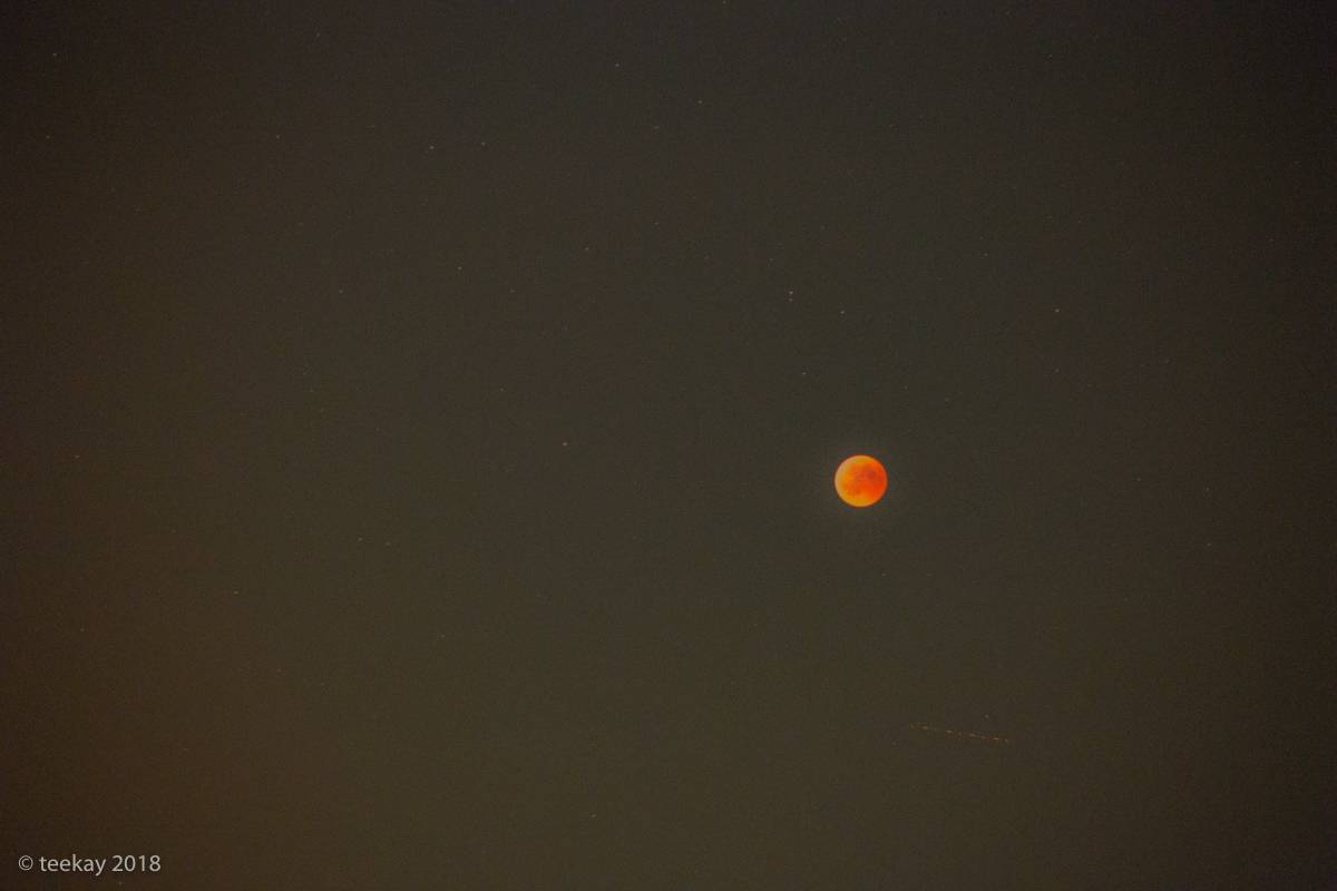 mond-102
