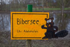 IMG_0873