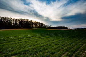 IMG_0886
