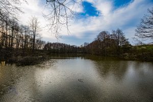 IMG_0887