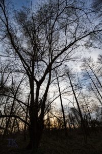 IMG_0897