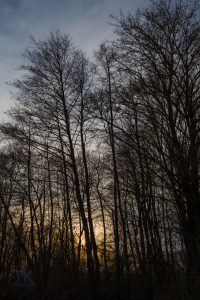 IMG_0905